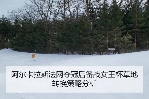 a-er-ka-la-si-fa-wang-duo-guan-hou-bei-zhan-nv-wang-bei-cao-di-zhuan-huan-ce-lve-fen-xi-2-616.jpg